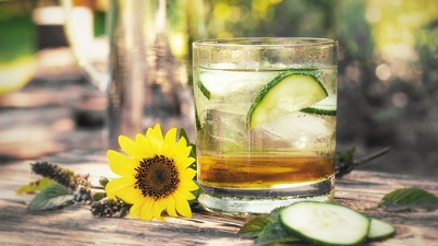 Meduňková limonáda