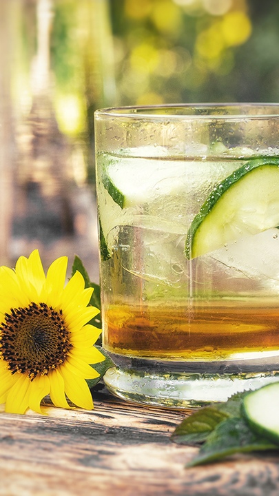 Meduňková limonáda