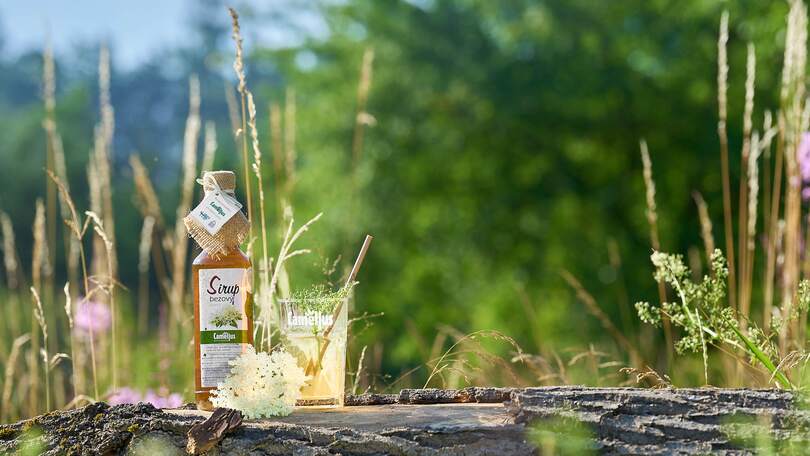 Camellus bezový sirup