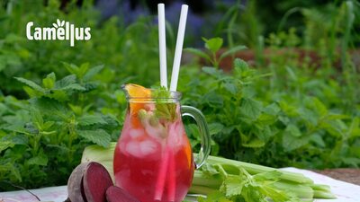 Červená řepa s meduňkou