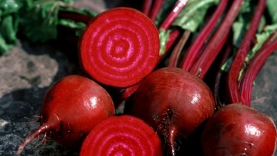 Červená řepa