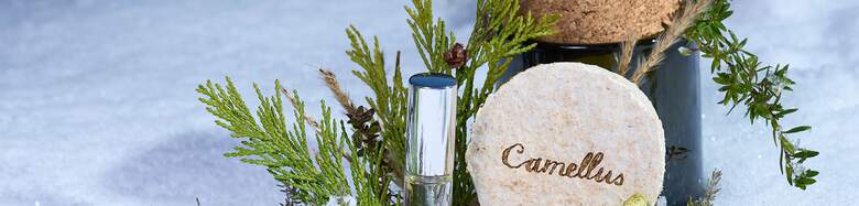 obrázek sirupů v menu